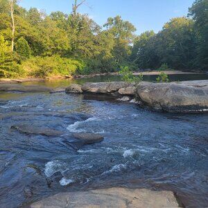 Meet your Posher, Donae